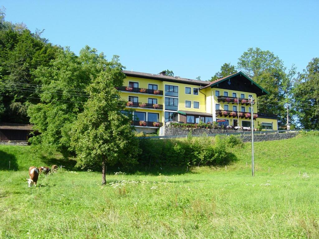 Hotel Zur Schonen Aussicht Ubersee Bagian luar foto
